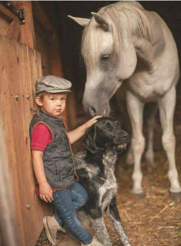 world beautiful my friends