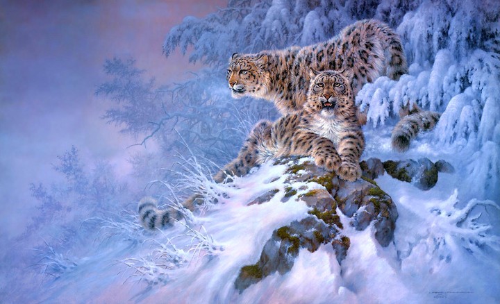 Snow leopard