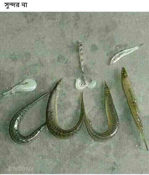 Allah