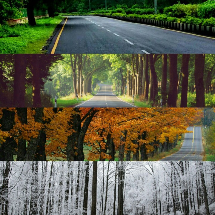 seasons of four