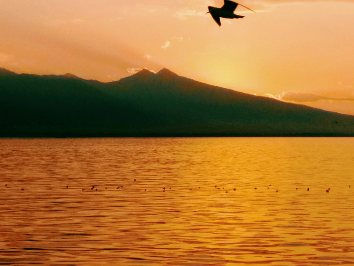 Yalnız