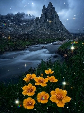 Nature ✨✨✨