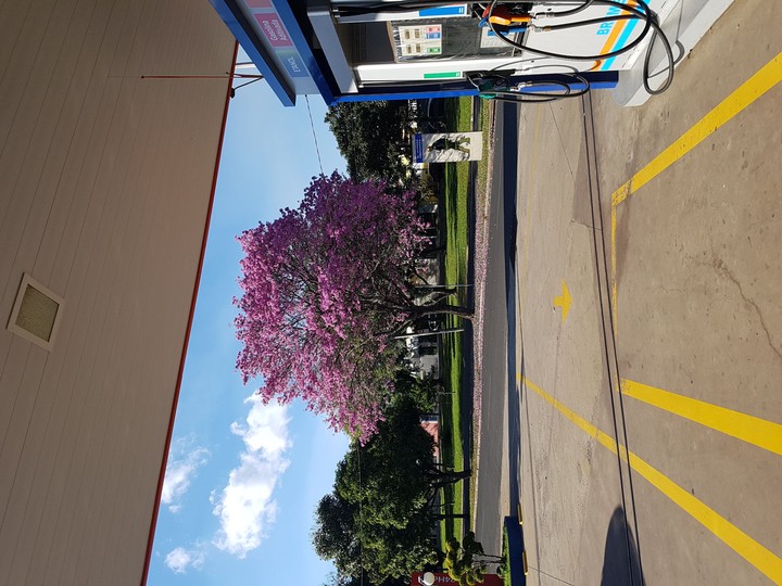 Gas Station