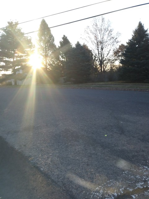 sunlight