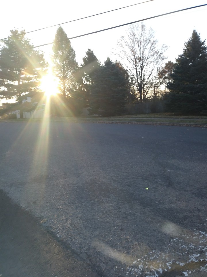 sunlight