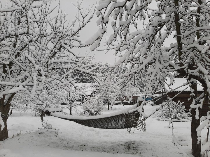 Snow