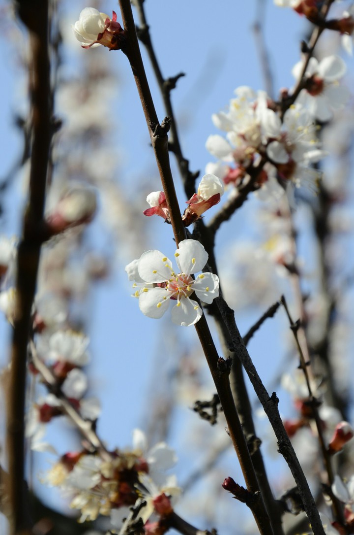 April
