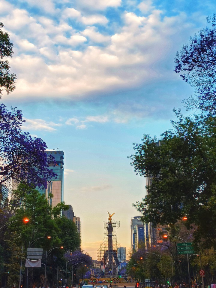 CDMX