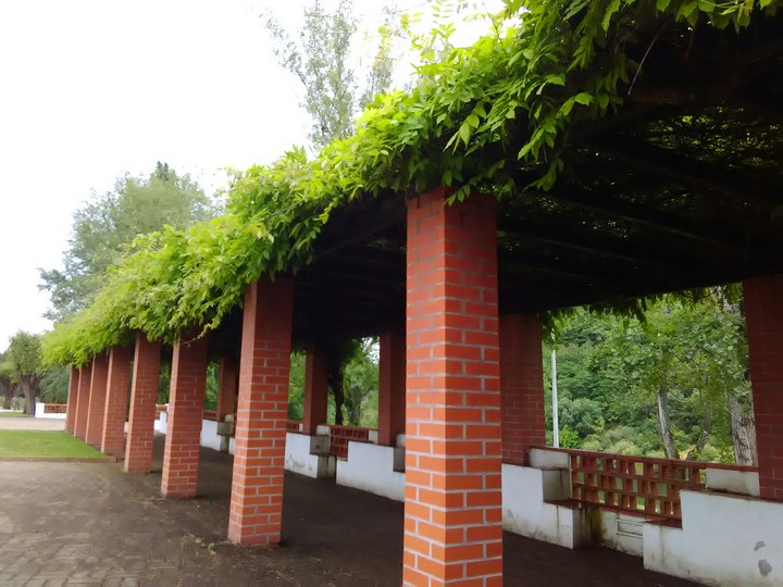 Peaceful garden