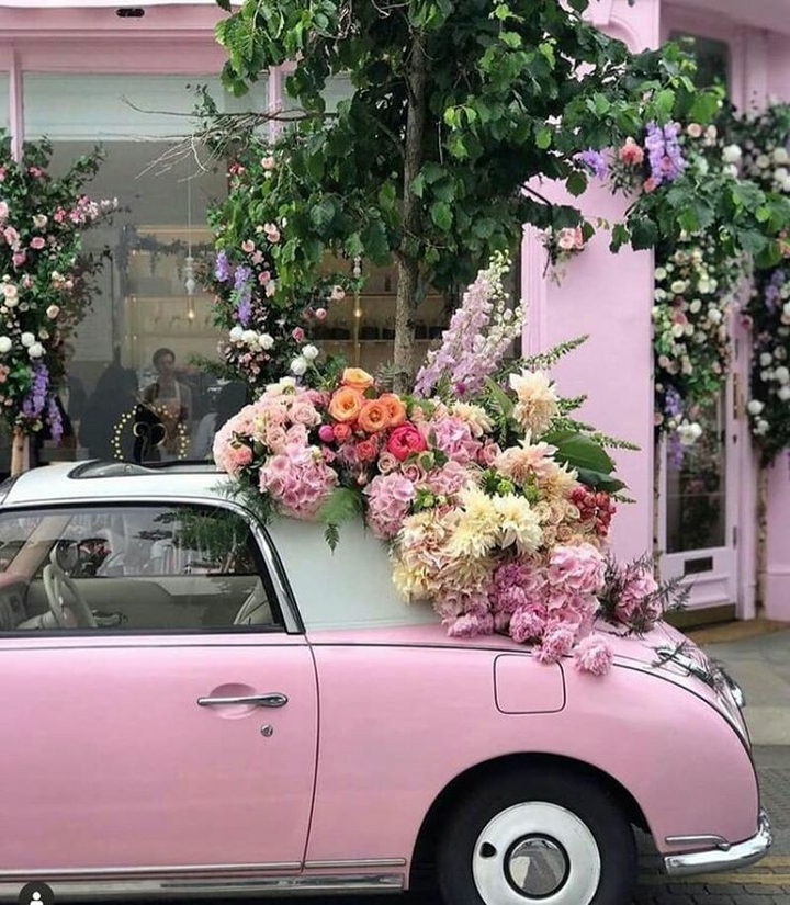 ⚘❤⚘