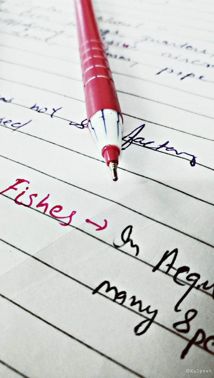 World with out a Pen 