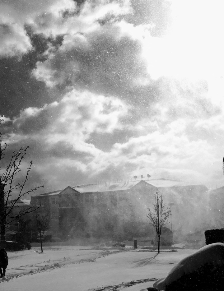 Snow in the Wind...