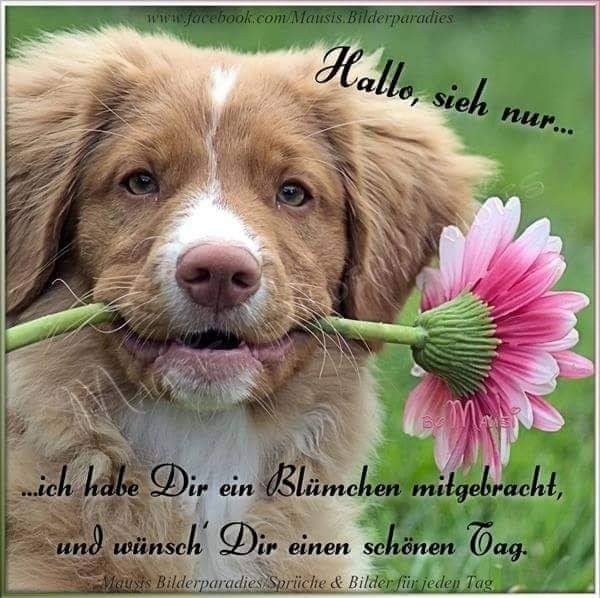 ❤
