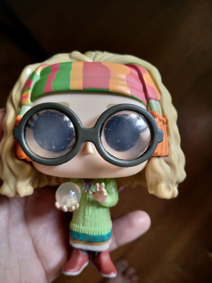 Professor