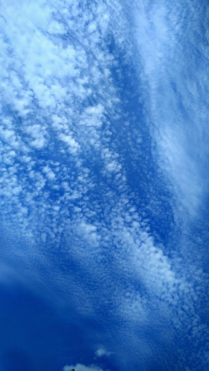 The blu sky...