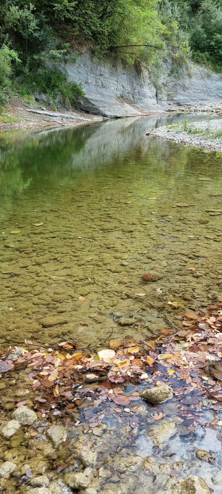 fiume