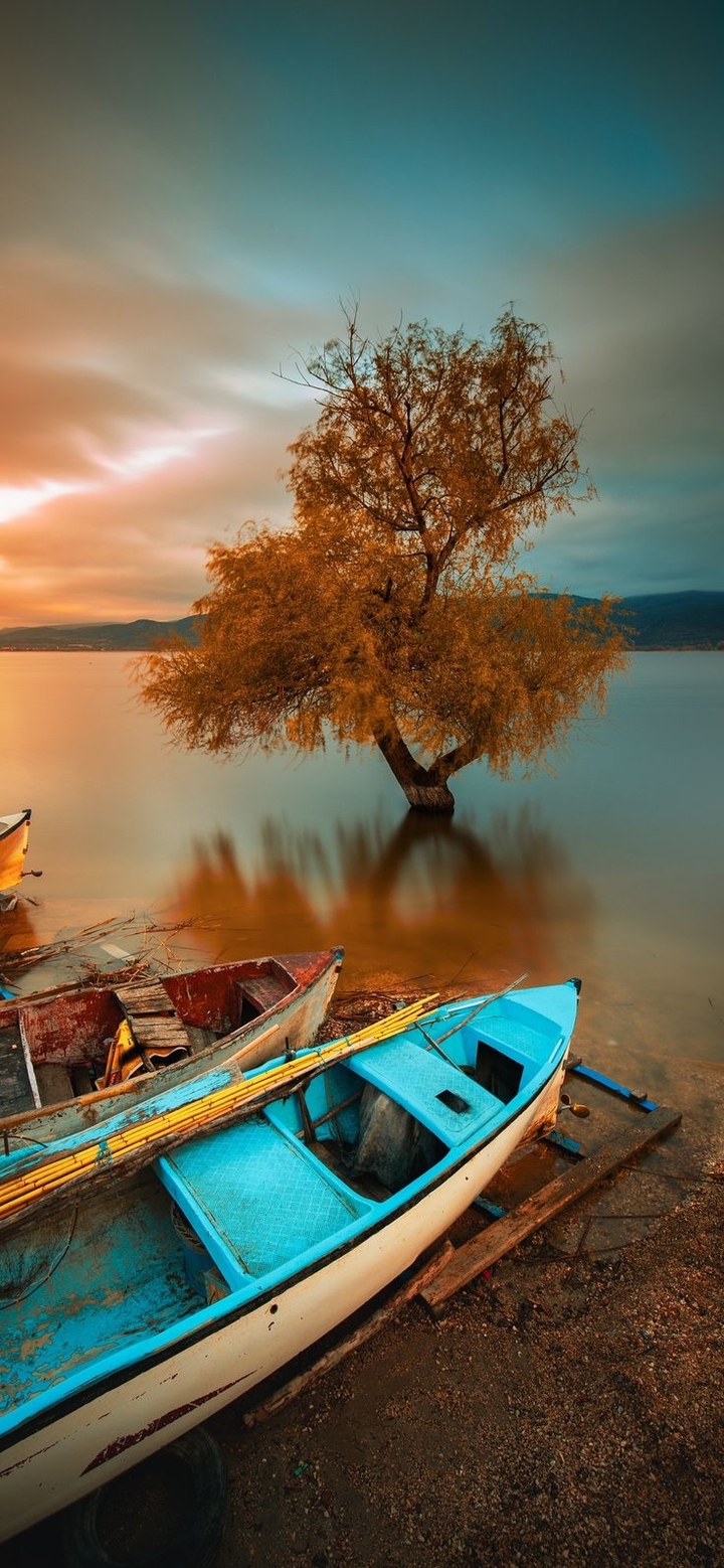 Boat art (ed.)