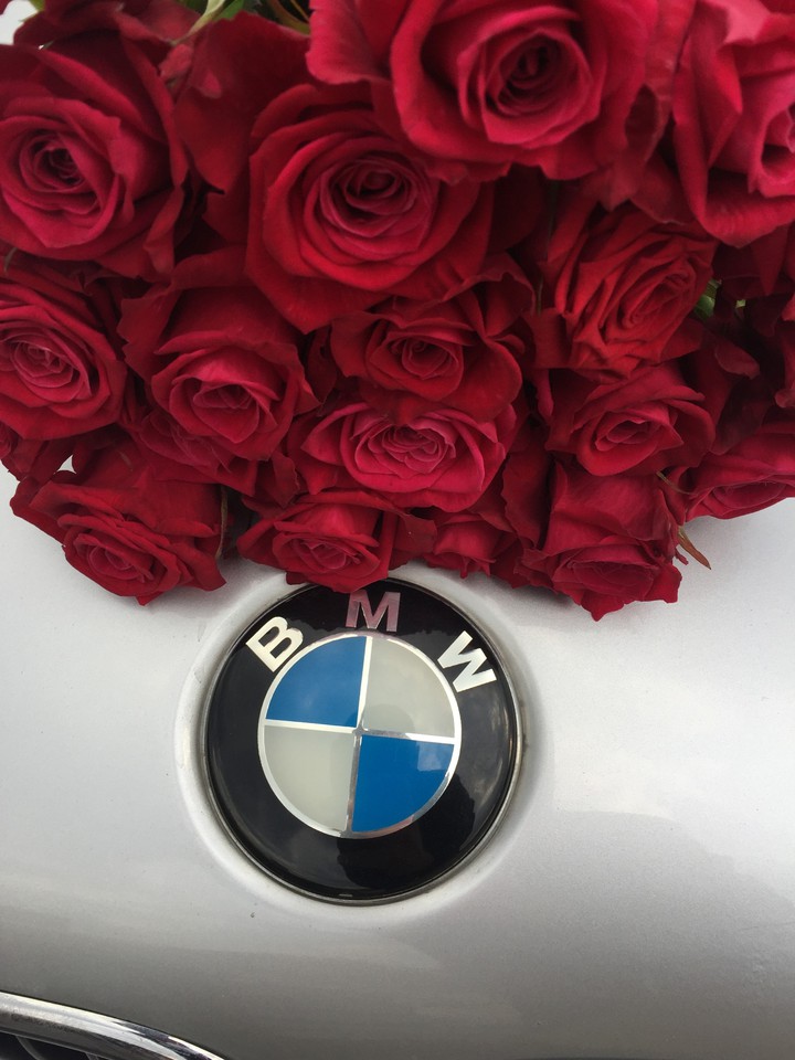 BMW Rose