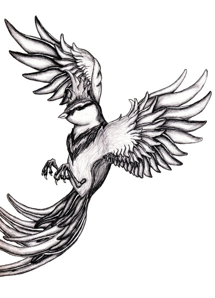 Fly away