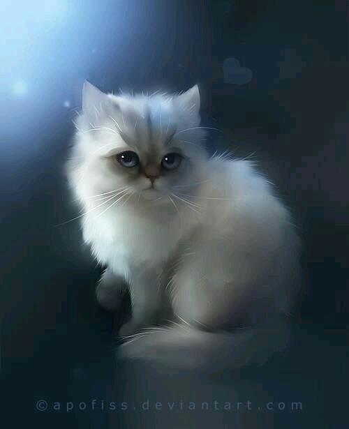 cat