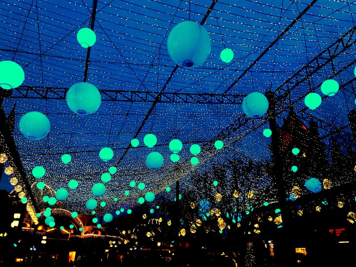 bulbs