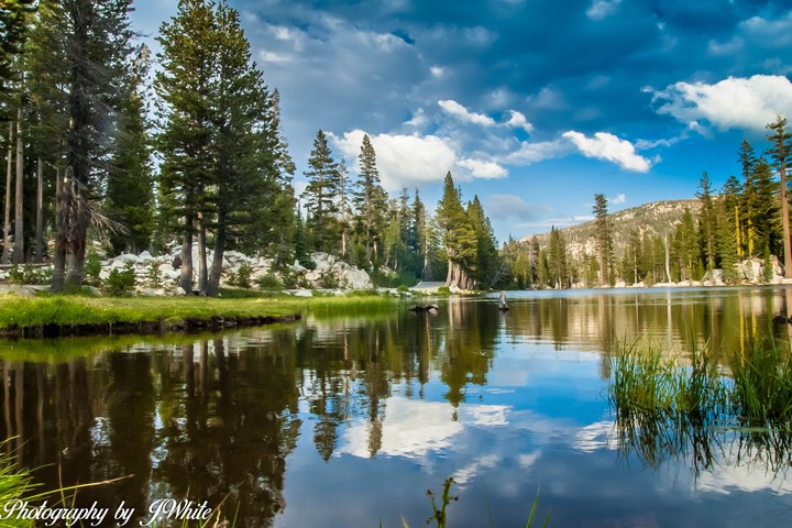 Reflections
