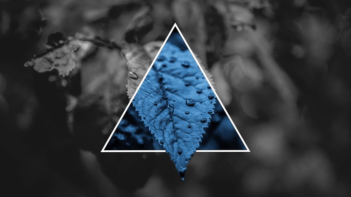 Tri