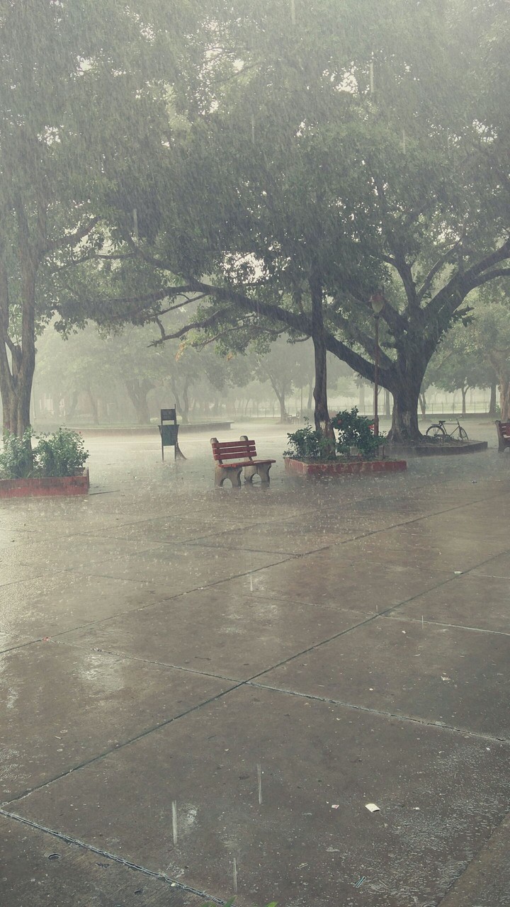 chair in rain!!