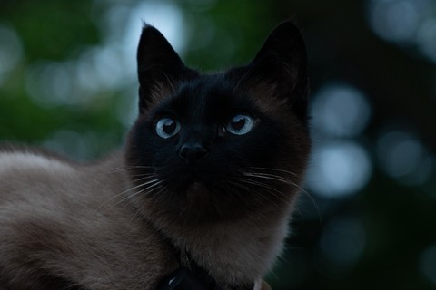 Those blue eyes.....