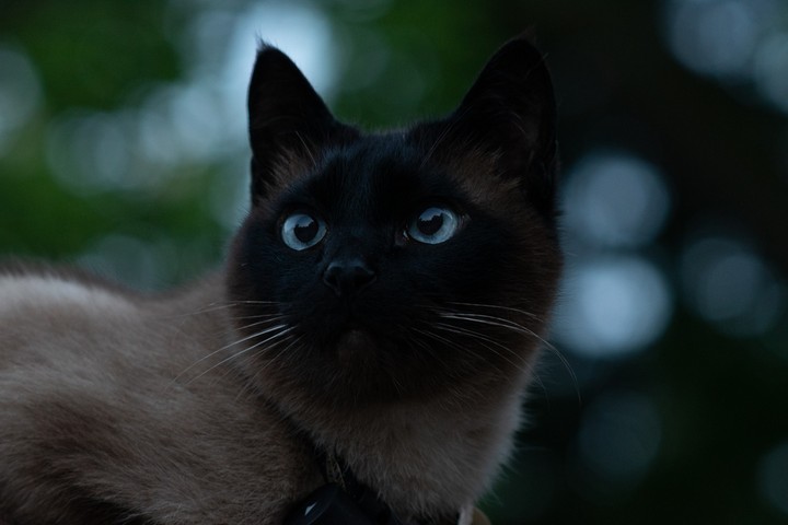 Those blue eyes.....