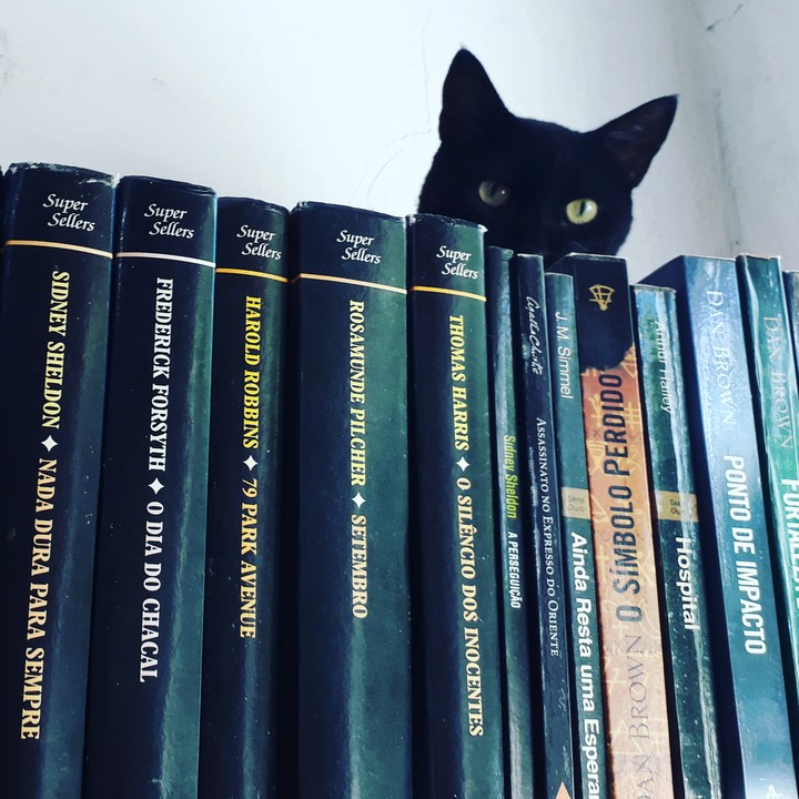 cats and books