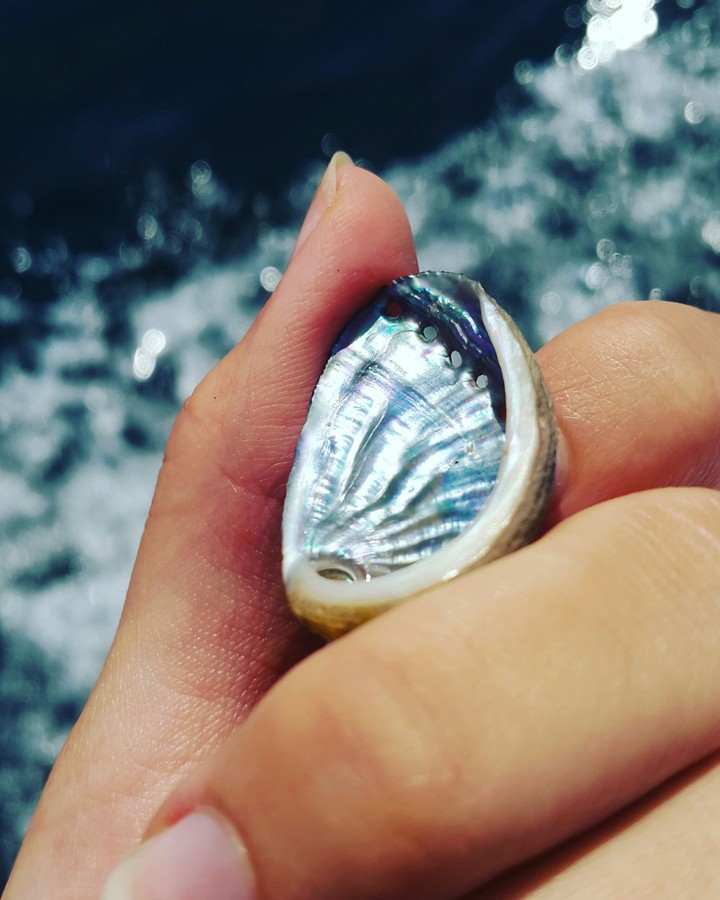 sea jewellery