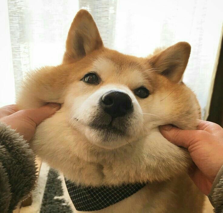 ®™