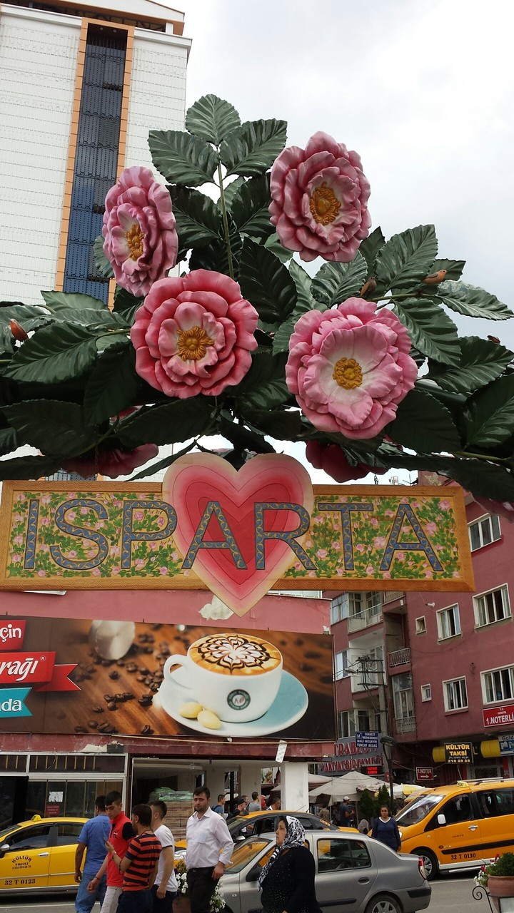 Isparta Roses