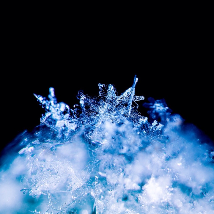 Snowflakes