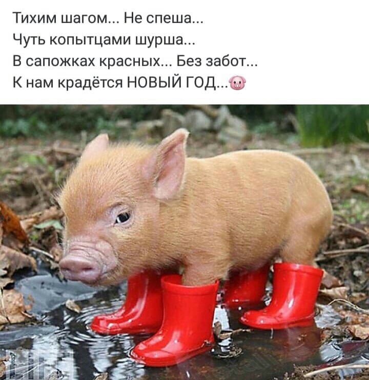 Хаха