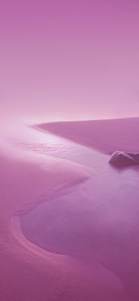 tapety lilac, magenta