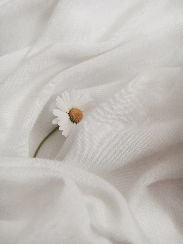 flover