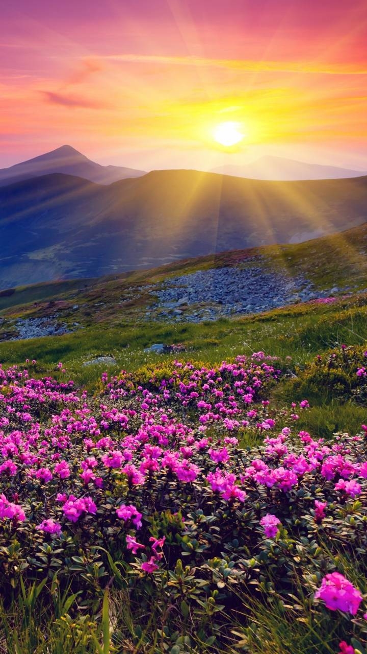 nature