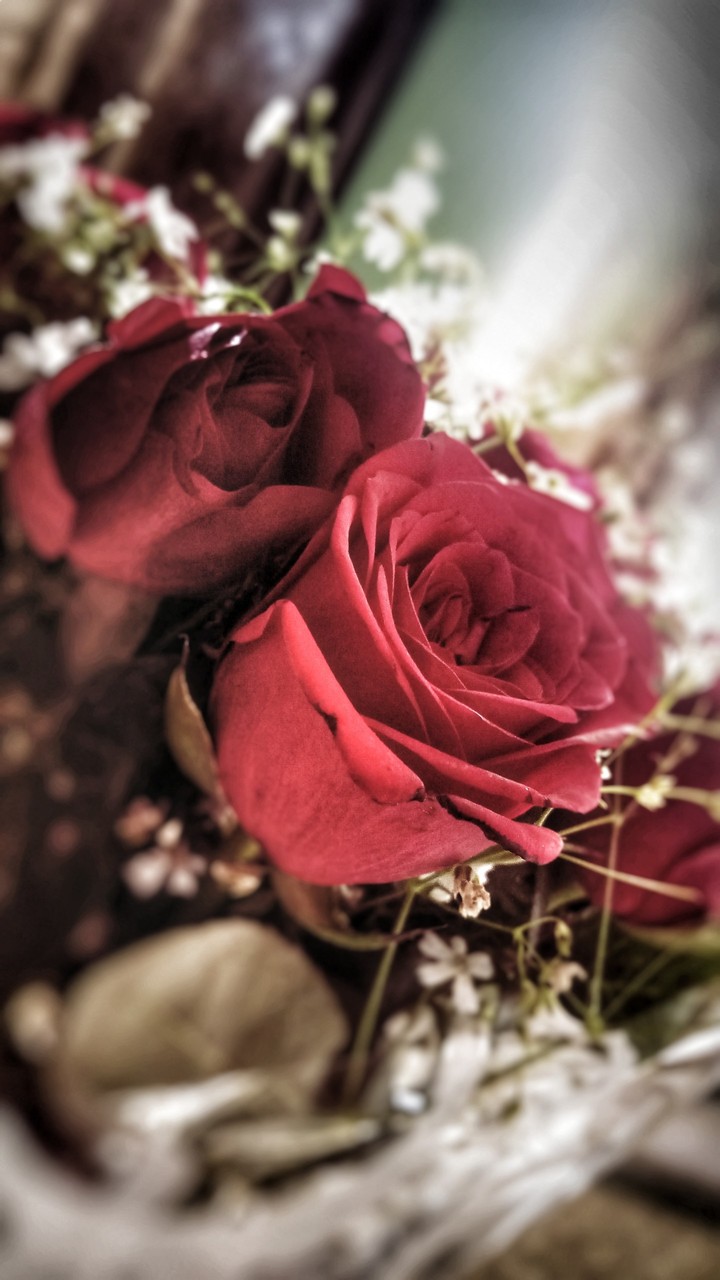 Rose Couple