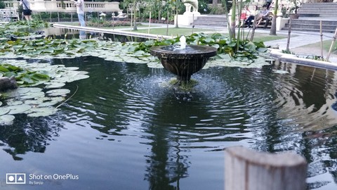 fountain