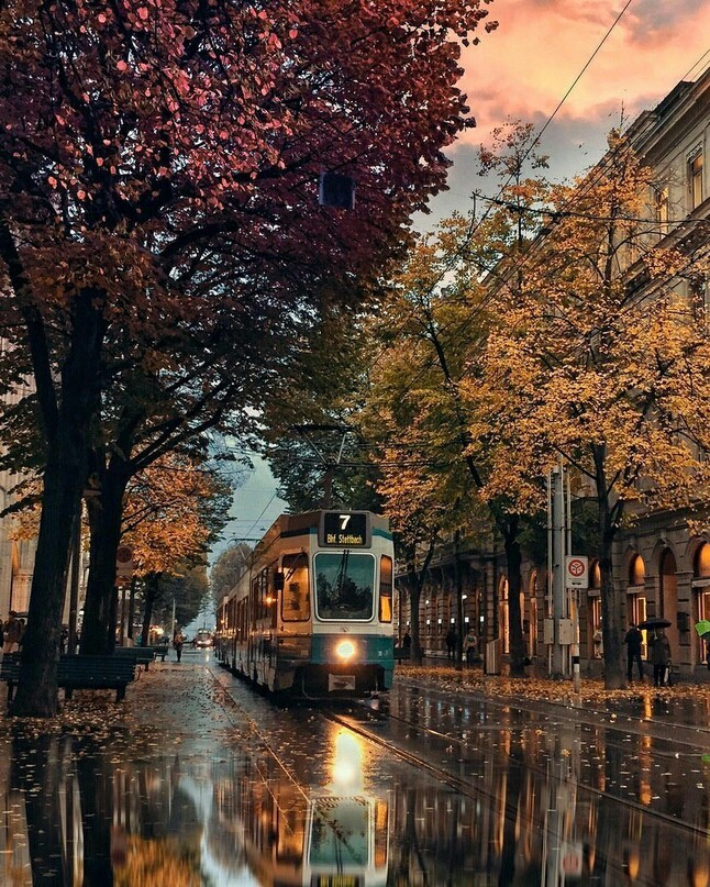 Autumn rain☔