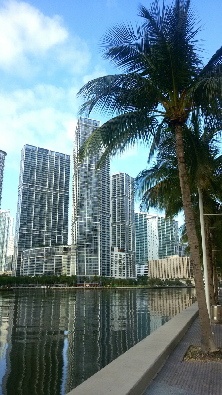 skyline in Miami