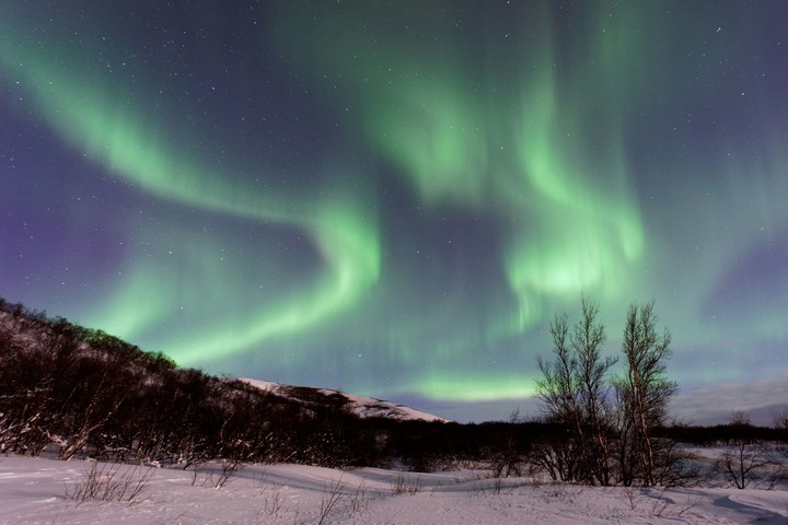 Auroras - High Resolution wall
