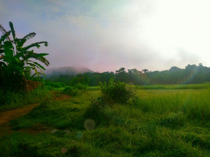 The wow pic