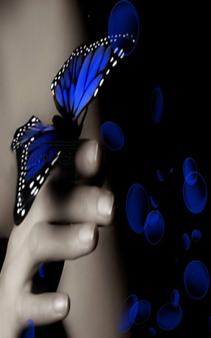 blu bttrfly