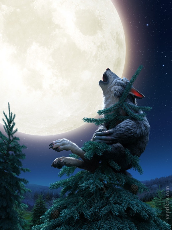 wolf