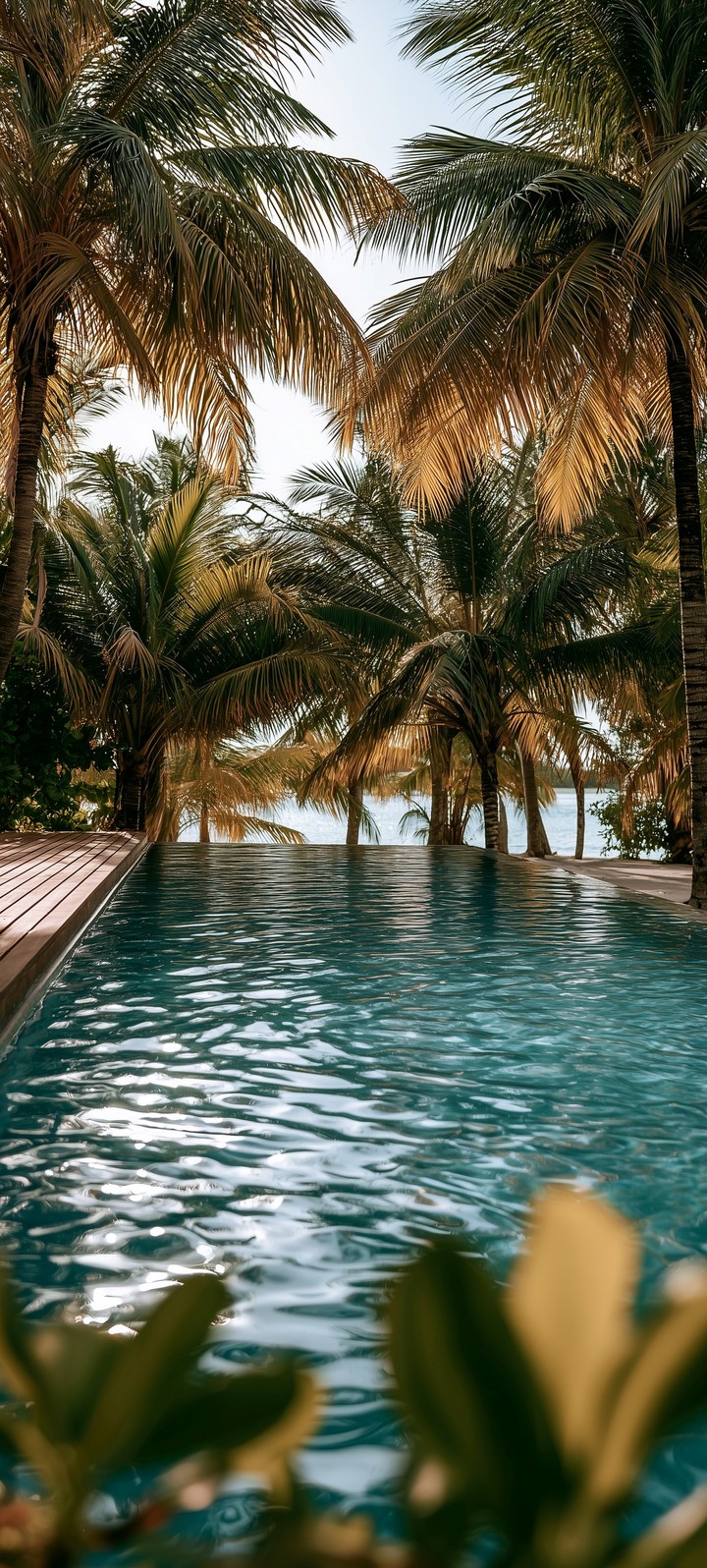 fonds d'écran beach, tropics