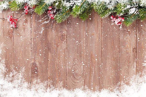 Snowy fence