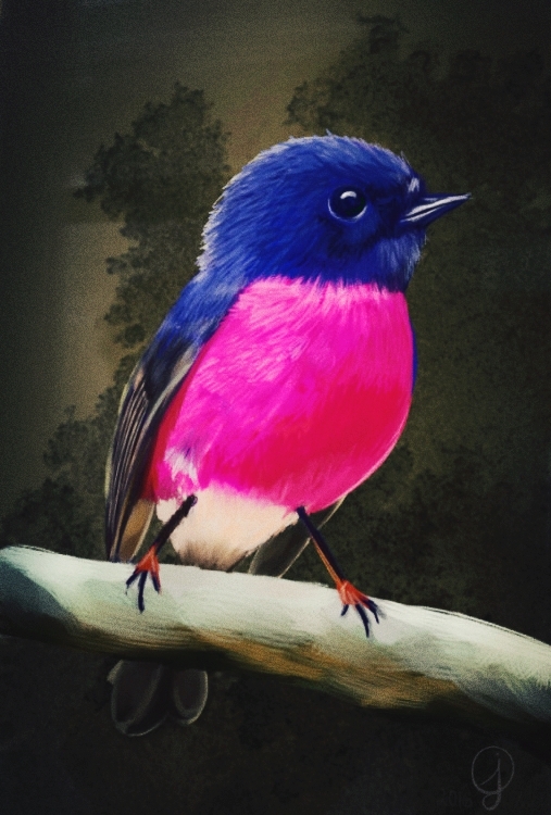bird